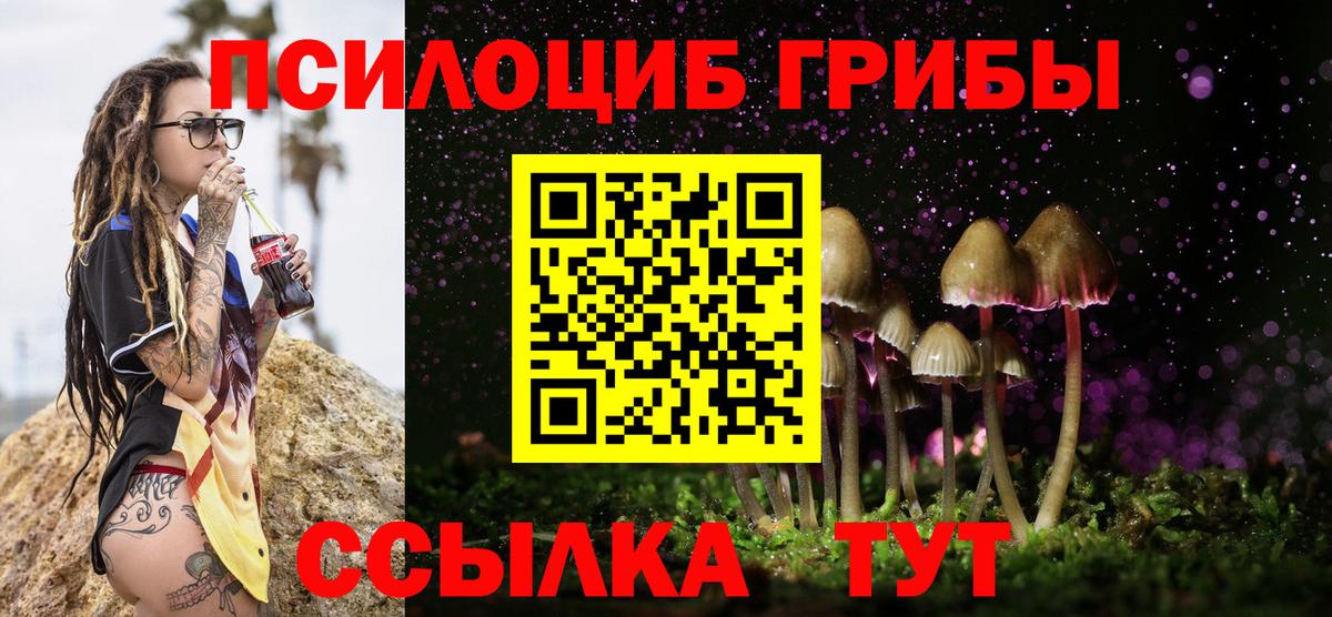 Алапаевск  Галлюциногенные грибы ЛСД  Вход с VPN 